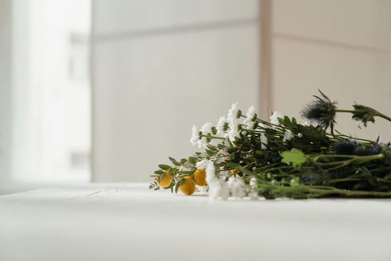 Dienstleistung Individuelle Blumen- und Pflanzenberatung
